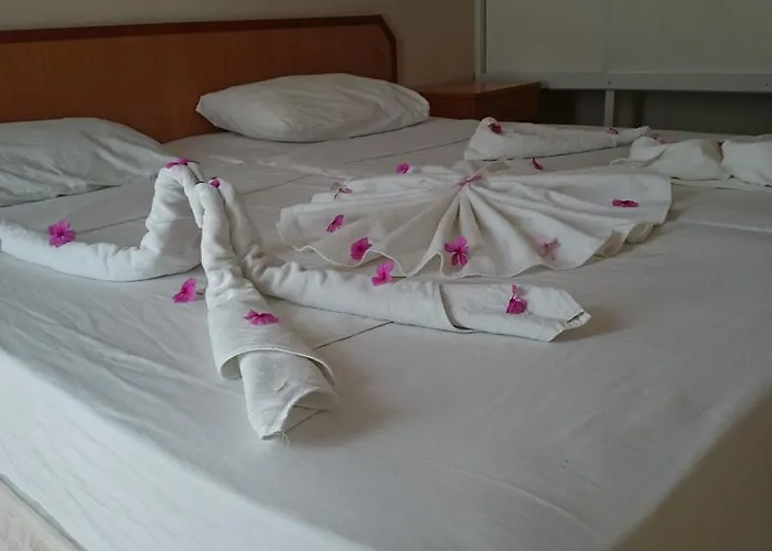 City Hotel Отель 2*