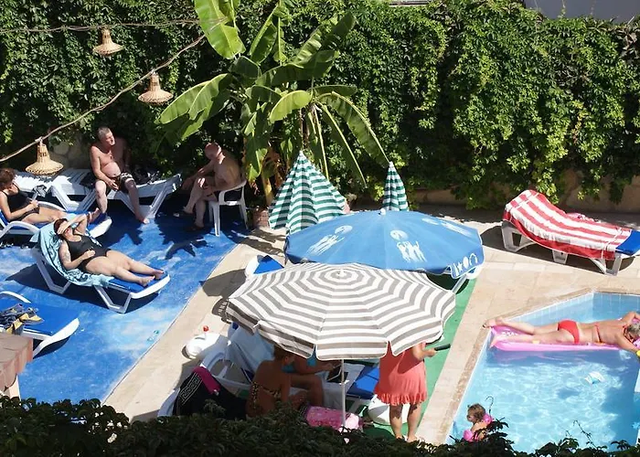 City Hotel 2*