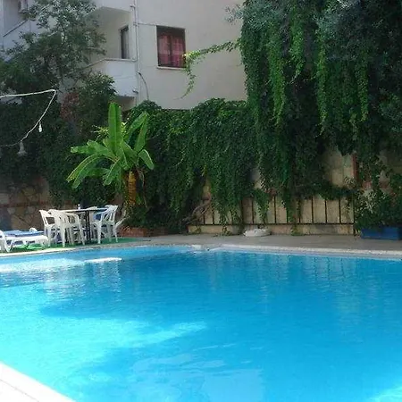 فندق City Hotel 2*